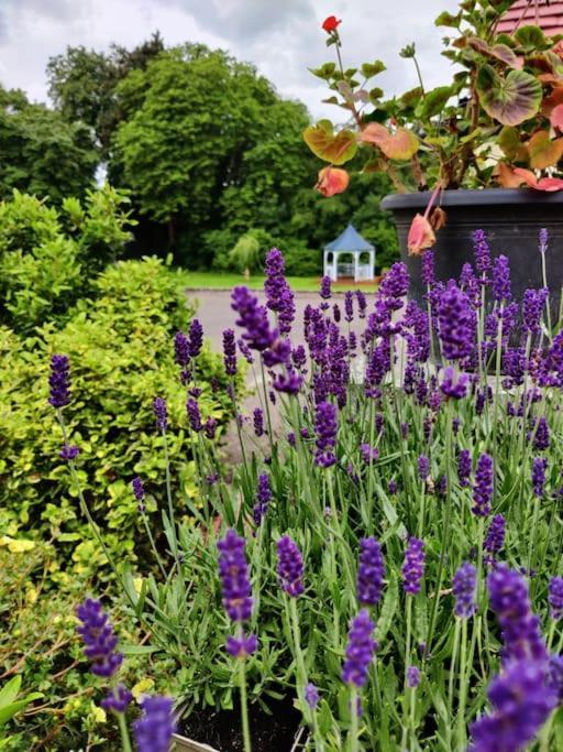 The Nook Located In A Beautiful Garden Setting With Parking Villa Stratford-upon-Avon Luaran gambar